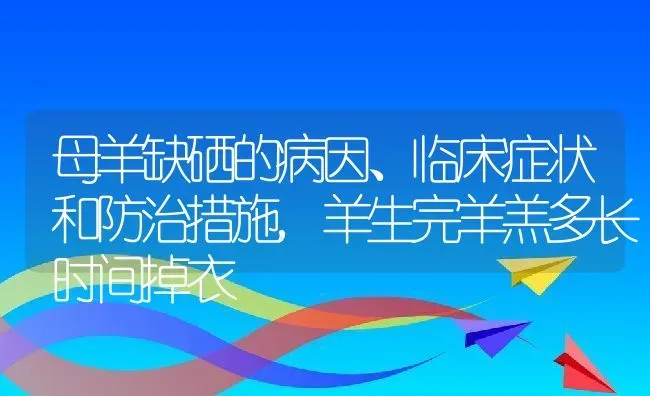 母羊缺硒的病因、临床症状和防治措施,羊生完羊羔多长时间掉衣 | 养殖学堂