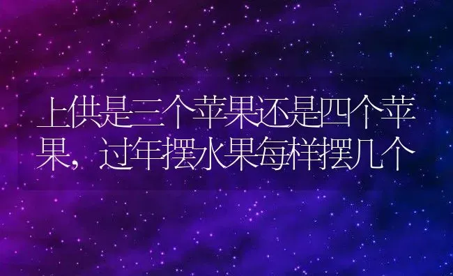 上供是三个苹果还是四个苹果,过年摆水果每样摆几个 | 养殖学堂