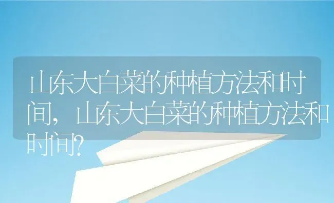 山东大白菜的种植方法和时间,山东大白菜的种植方法和时间？ | 养殖科普