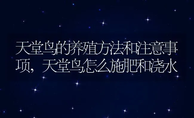 天堂鸟的养殖方法和注意事项,天堂鸟怎么施肥和浇水 | 养殖学堂