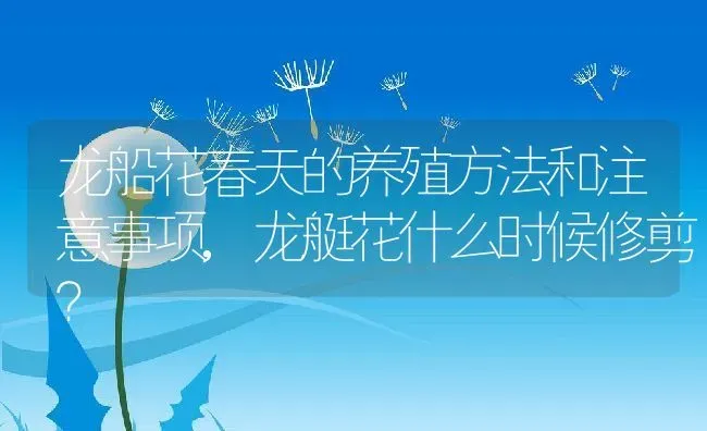 龙船花春天的养殖方法和注意事项,龙艇花什么时候修剪？ | 养殖科普