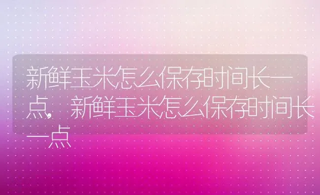 新鲜玉米怎么保存时间长一点,新鲜玉米怎么保存时间长一点 | 养殖科普