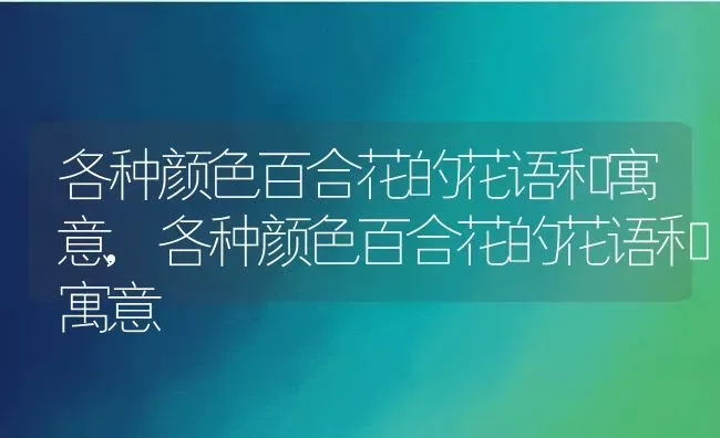 各种颜色百合花的花语和寓意,各种颜色百合花的花语和寓意 | 养殖科普