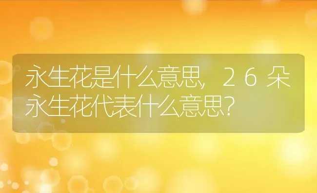 永生花是什么意思,26朵永生花代表什么意思？ | 养殖科普