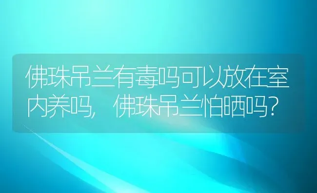 佛珠吊兰有毒吗可以放在室内养吗,佛珠吊兰怕晒吗？ | 养殖科普