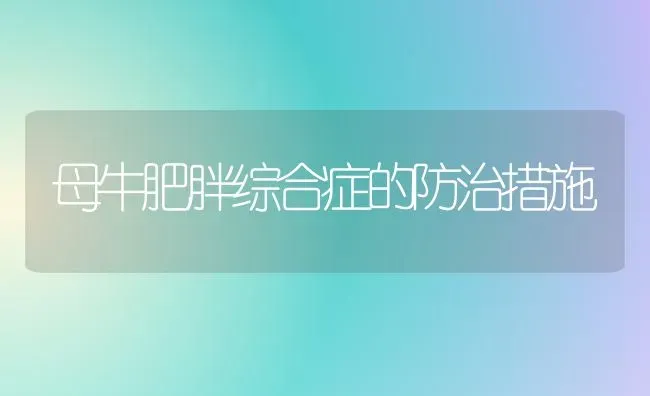 母牛肥胖综合症的防治措施 | 养殖知识