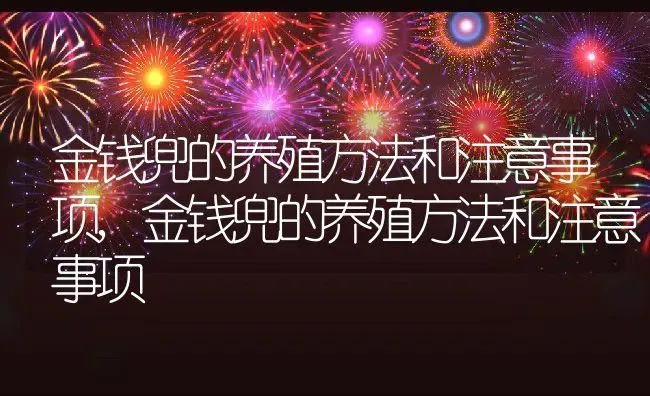 金钱兜的养殖方法和注意事项,金钱兜的养殖方法和注意事项 | 养殖科普