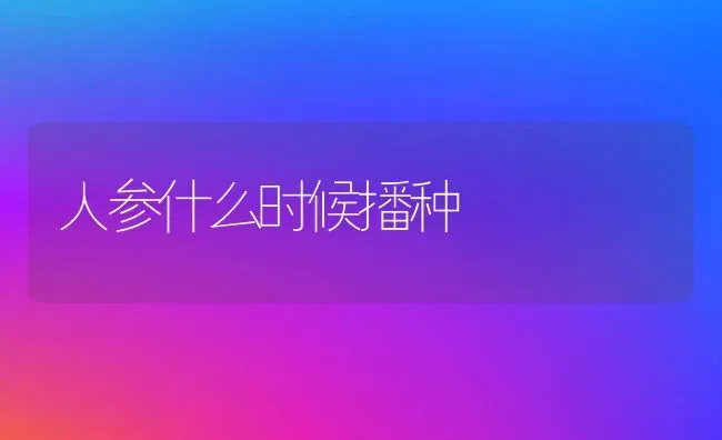 人参什么时候播种 | 养殖技术大全