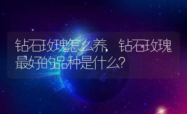 钻石玫瑰怎么养,钻石玫瑰最好的品种是什么？ | 养殖科普