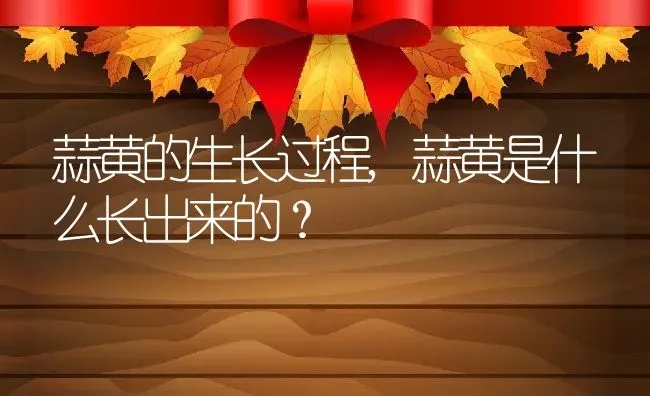 蒜黄的生长过程,蒜黄是什么长出来的？ | 养殖科普