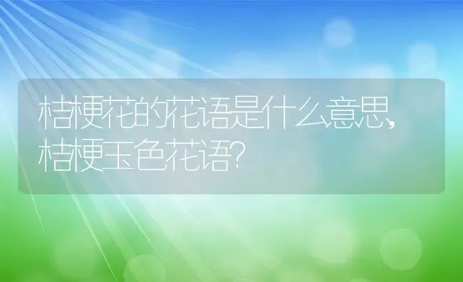 桔梗花的花语是什么意思,桔梗玉色花语？ | 养殖学堂