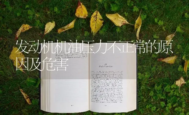 发动机机油压力不正常的原因及危害 | 养殖知识