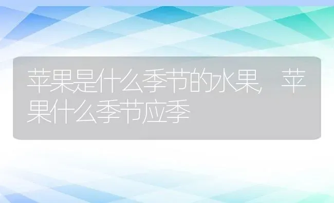 苹果是什么季节的水果,苹果什么季节应季 | 养殖学堂