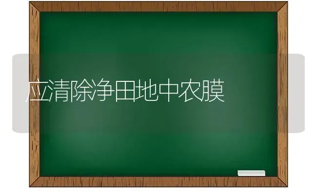 应清除净田地中农膜 | 养殖技术大全