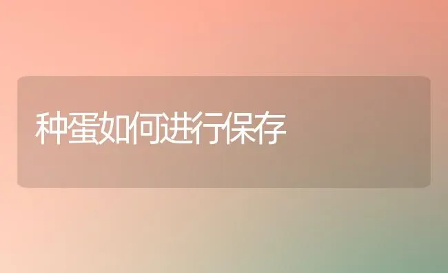 种蛋如何进行保存 | 养殖知识