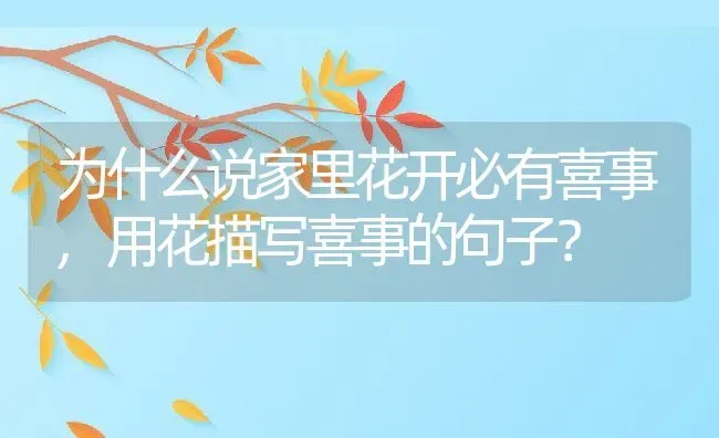 为什么说家里花开必有喜事,用花描写喜事的句子？ | 养殖学堂