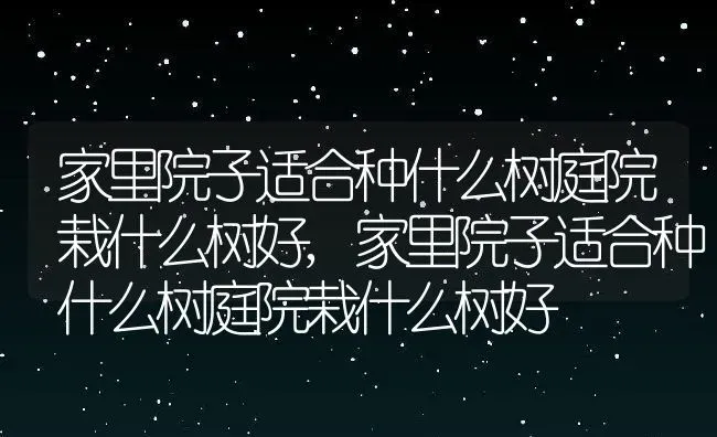 家里院子适合种什么树庭院栽什么树好,家里院子适合种什么树庭院栽什么树好 | 养殖科普