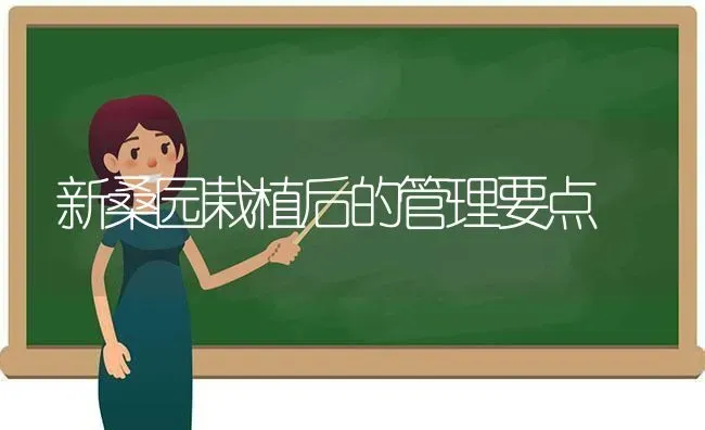 新桑园栽植后的管理要点 | 养殖技术大全