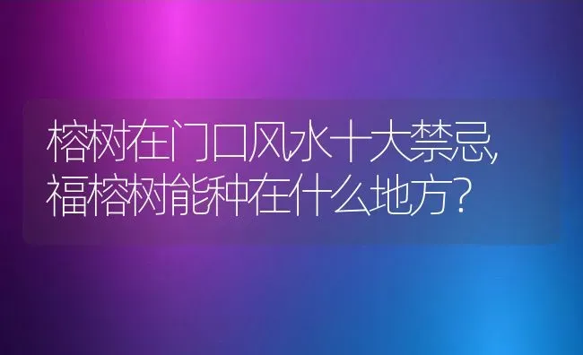 榕树在门口风水十大禁忌,福榕树能种在什么地方？ | 养殖科普