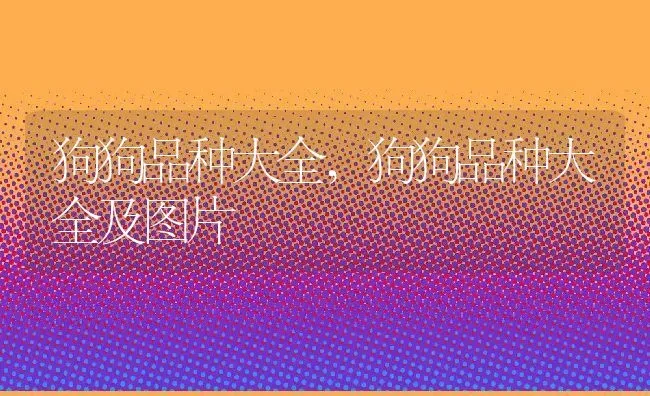 狗狗品种大全,狗狗品种大全及图片 | 养殖科普