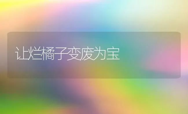 让烂橘子变废为宝 | 养殖知识