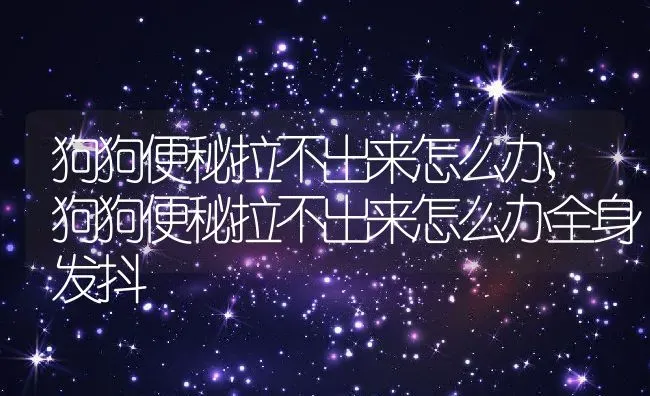 狗狗便秘拉不出来怎么办,狗狗便秘拉不出来怎么办全身发抖 | 养殖资料