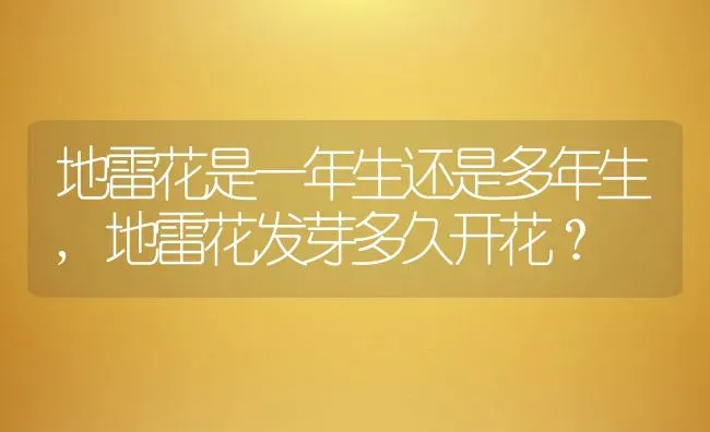 地雷花是一年生还是多年生,地雷花发芽多久开花？ | 养殖科普