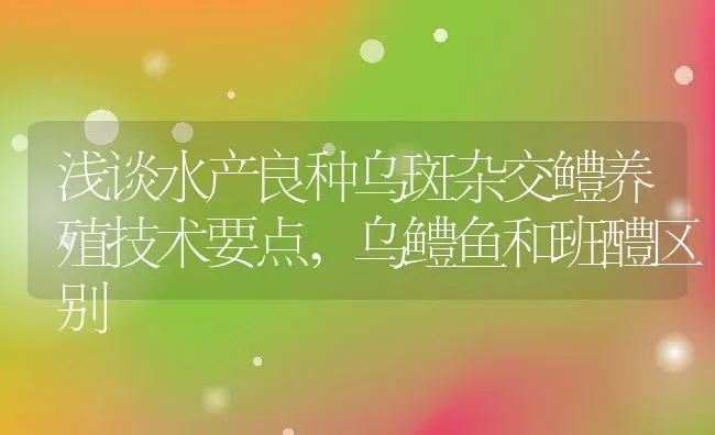 浅谈水产良种乌斑杂交鳢养殖技术要点,乌鳢鱼和班醴区别 | 养殖学堂
