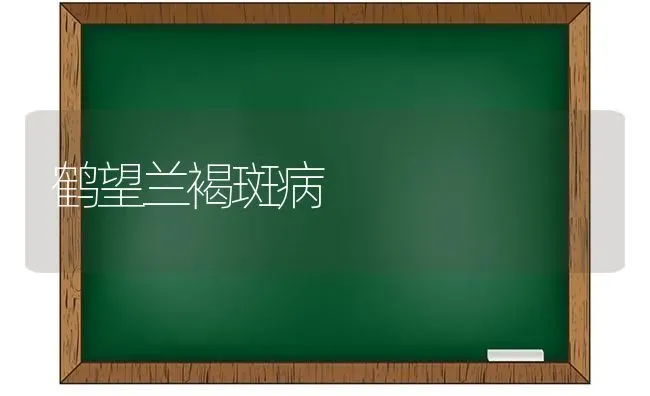 鹤望兰褐斑病 | 养殖技术大全