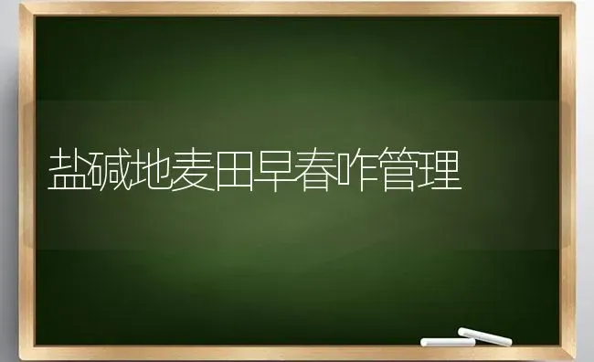 盐碱地麦田早春咋管理 | 养殖技术大全