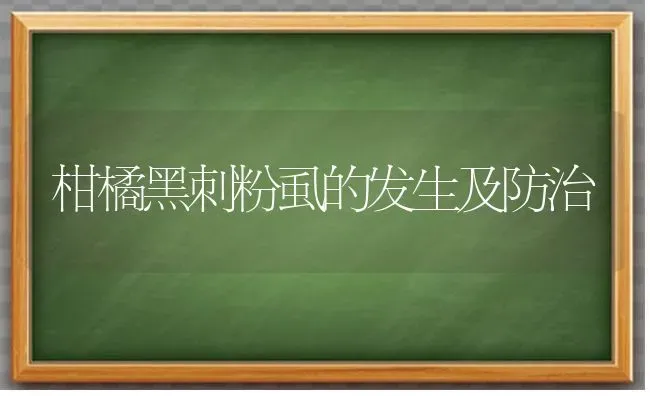 柑橘黑刺粉虱的发生及防治 | 养殖知识