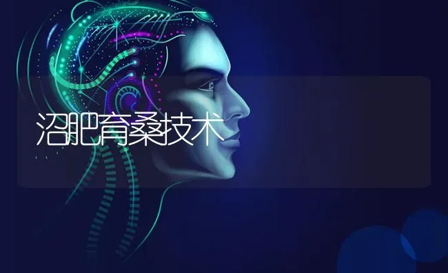 沼肥育桑技术 | 养殖知识