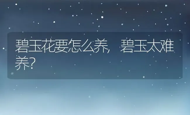 碧玉花要怎么养,碧玉太难养？ | 养殖科普