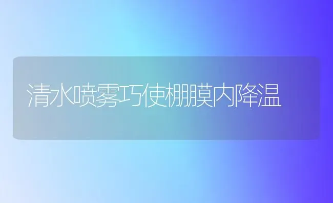 清水喷雾巧使棚膜内降温 | 养殖知识