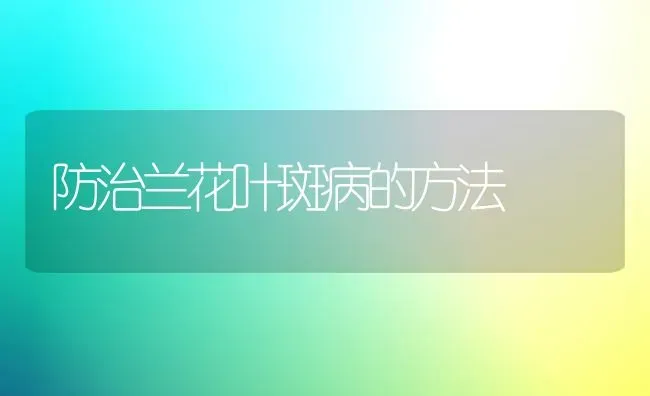 防治兰花叶斑病的方法 | 养殖技术大全