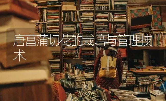 唐菖蒲切花的栽培与管理技术 | 养殖技术大全
