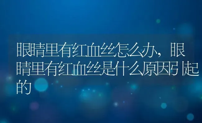 眼睛里有红血丝怎么办,眼睛里有红血丝是什么原因引起的 | 养殖科普