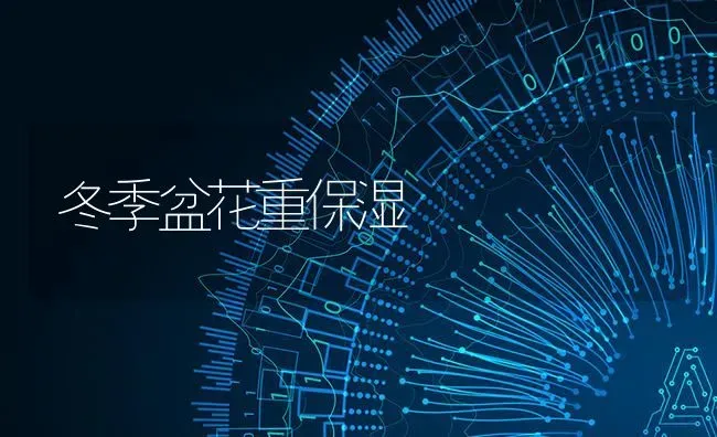 冬季盆花重保湿 | 养殖知识