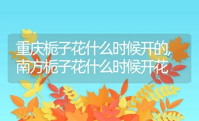 重庆栀子花什么时候开的,南方栀子花什么时候开花 | 养殖学堂