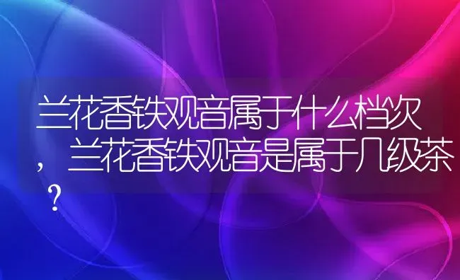 兰花香铁观音属于什么档次,兰花香铁观音是属于几级茶？ | 养殖学堂