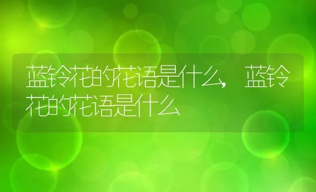 蓝铃花的花语是什么,蓝铃花的花语是什么 | 养殖科普