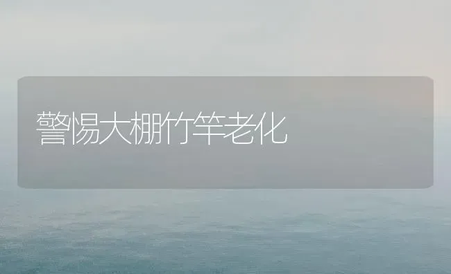 警惕大棚竹竿老化 | 养殖知识
