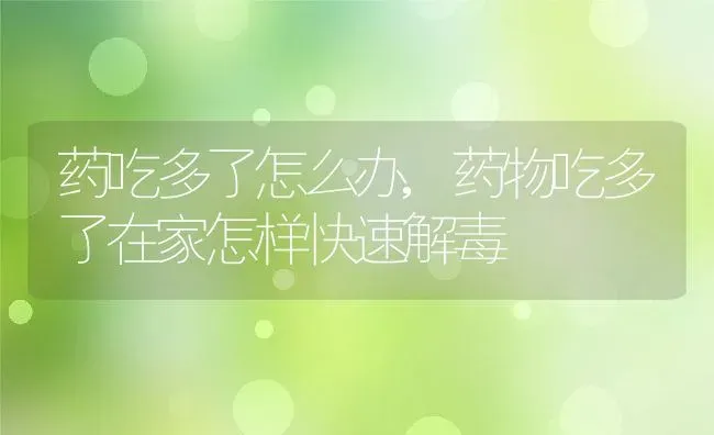 药吃多了怎么办,药物吃多了在家怎样快速解毒 | 养殖科普