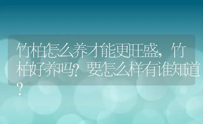 竹柏怎么养才能更旺盛,竹柏好养吗？要怎么样有谁知道？ | 养殖科普