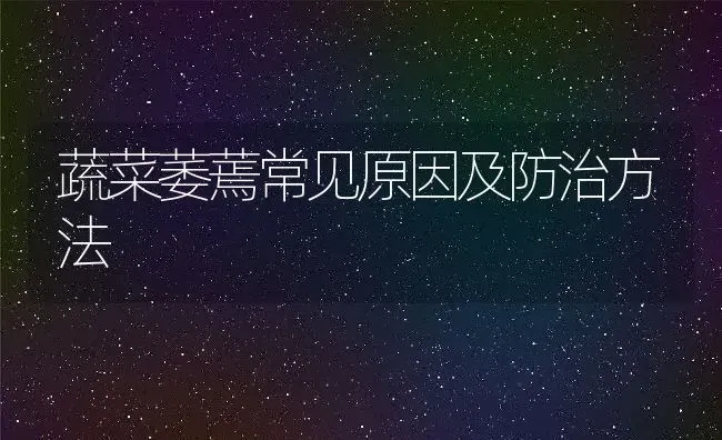 蔬菜萎蔫常见原因及防治方法 | 养殖学堂