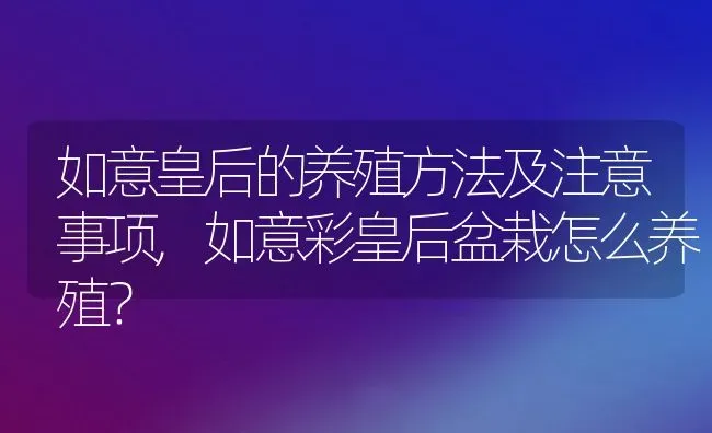 如意皇后的养殖方法及注意事项,如意彩皇后盆栽怎么养殖？ | 养殖科普