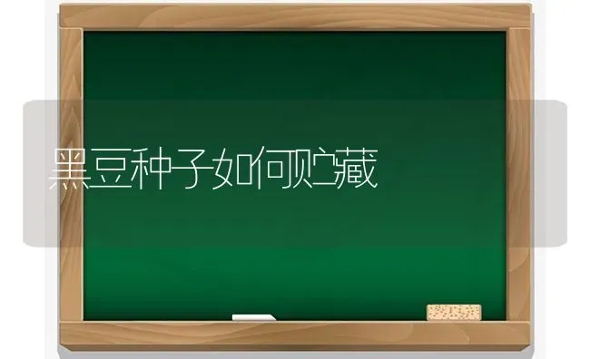 黑豆种子如何贮藏 | 养殖技术大全