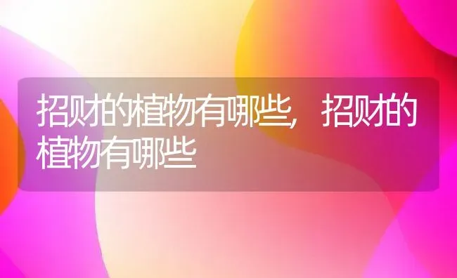 招财的植物有哪些,招财的植物有哪些 | 养殖科普
