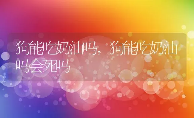 狗能吃奶油吗,狗能吃奶油吗会死吗 | 养殖资料