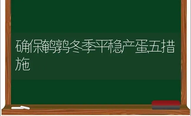 确保鹌鹑冬季平稳产蛋五措施 | 养殖知识